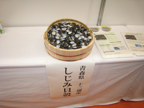 2009kennsyoku6.jpg